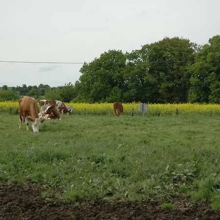 La Place Verte Surice