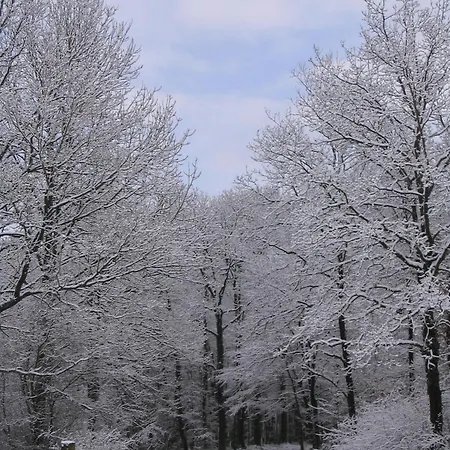 La Place Verte Surice