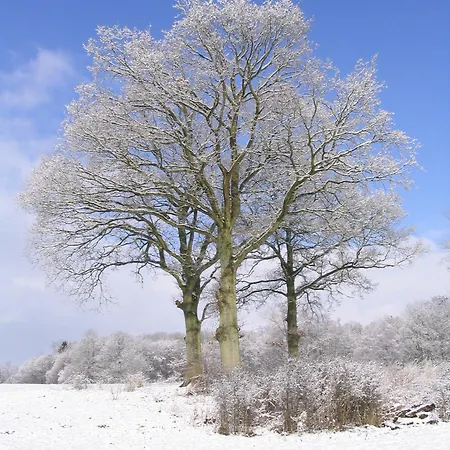 La Place Verte Surice