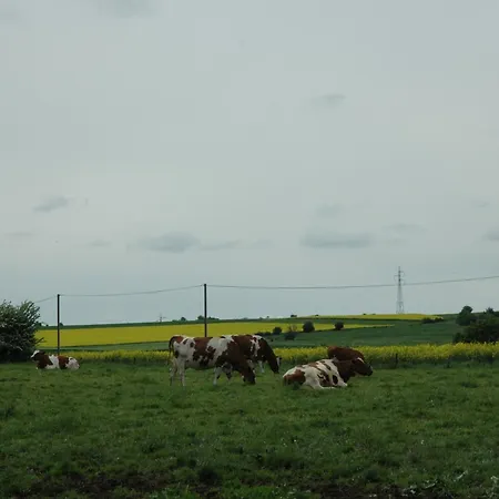 Bed & Breakfast La Place Verte Surice